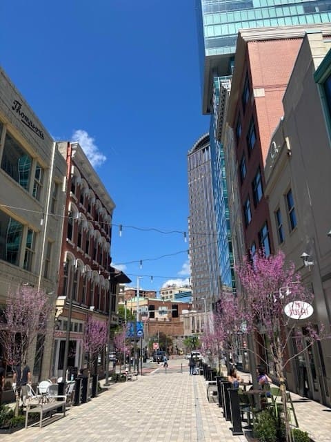 Downtown Pittsburgh pedestrian street framed by buildings and spring trees